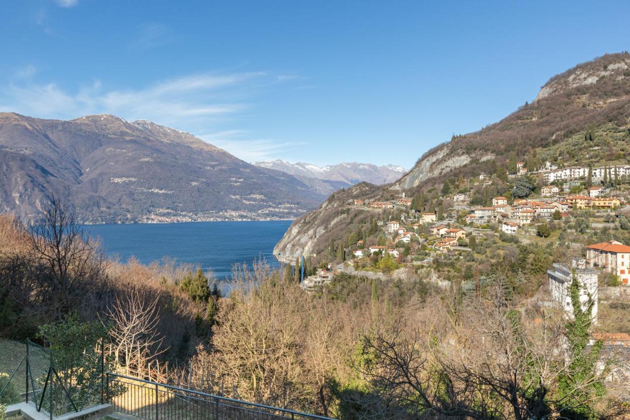 Mysa Properties - Lovely Studio Between Lake And Castle 佩尔莱多 外观 照片